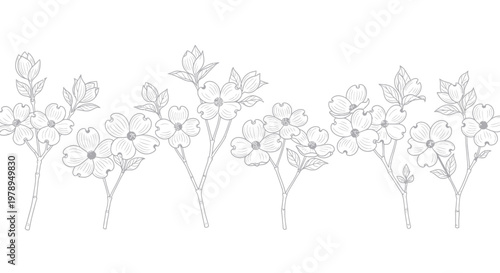 Delicate Dogwood Blossoms Border - Hand-Drawn Line Art Illustration