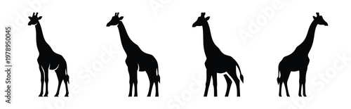 giraffe silhouette simple icon set, black color and white background