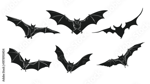 Black bat silhouettes in various flying poses against a white backdrop