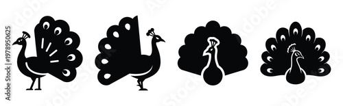 peacock silhouette simple icon set, black color and white background