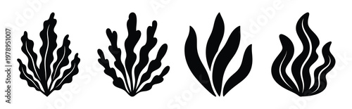 seaweed silhouette simple icon set, black color and white background