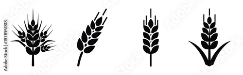 wheat silhouette simple icon set, black color and white background