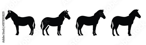 zebra silhouette simple icon set, black color and white background