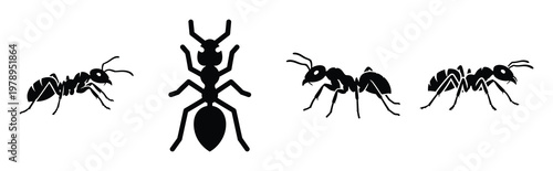ant silhouette simple icon set, black color and white background