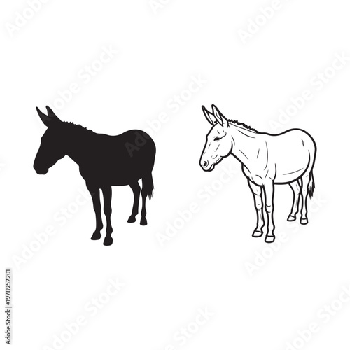 Black and white donkey illustrations side by side on white background