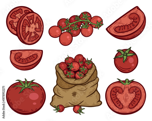Hand-drawn red tomatoes set, whole, half, quarter, cherry tomatoes, cut in segments, in a burlap bag, food preparation, colourful,  illustration, line art contour, isolated