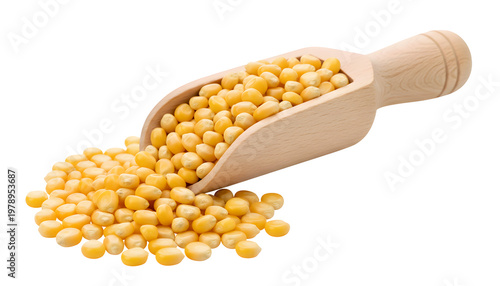 Corn kernels in a wooden spoon. Side view of the kernels, ideal for advertising, supermarkets, or website promotion. A source of healthy plant-based carbohydrates. 