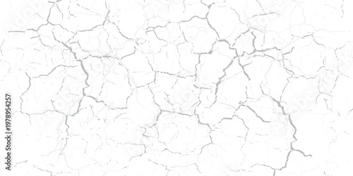 a black and white vintage of cracked concrete scribble effect, old wall background crack vector, grunge texture, Fractured texture ground