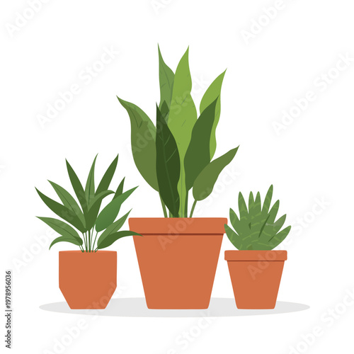 Flat vector illustration of a trendy houseplant collection with monstera, snake plant, and succulent in terracotta pots