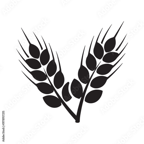 Wheat icon logo isolated on white background. Agriculture ears of wheat illustration.
