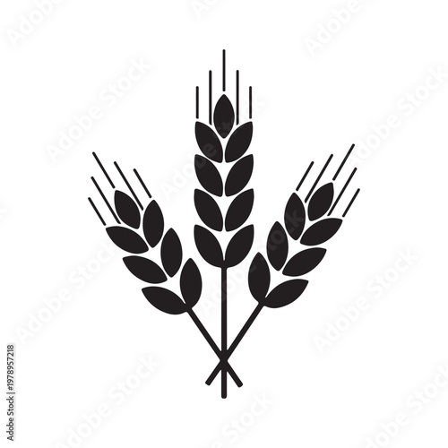 Wheat icon logo isolated on white background. Agriculture ears of wheat illustration.
