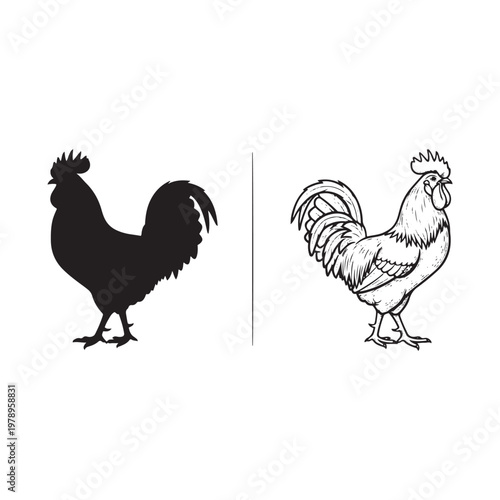 Black silhouette and line drawing of two roosters isolated on white background