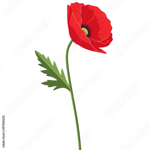 A striking poppy stem illustration against a soft green background. ?Poppy Stem? and ?Remember Sacrifice? text overlay. Clean, modern design, ideal for remembrance themes.