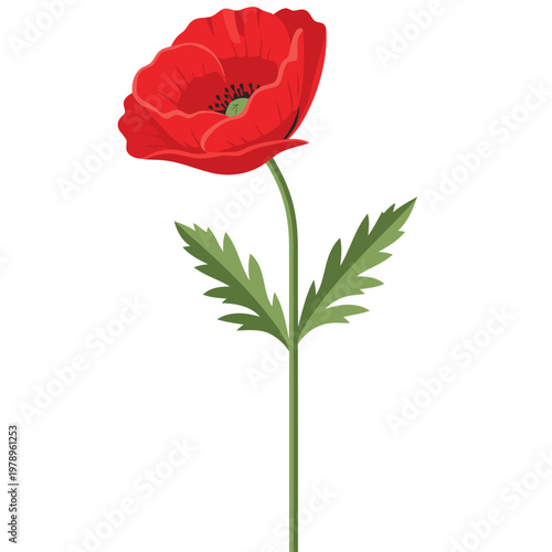 A vibrant poppy stem illustration with green leaves. ?Remember Sacrifice? text overlay. Simple, elegant design suitable for memorial or remembrance themes. Clean, modern aesthetic.