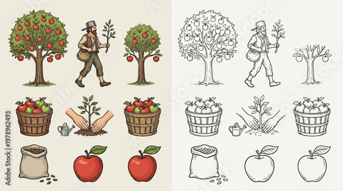 Illustration of apple cultivation process, from planting seeds to harvesting ripe fruit, with color and line art versions.