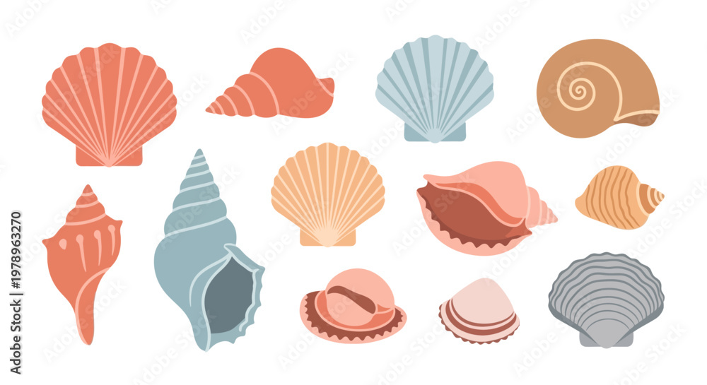 Fototapeta premium An array of colorful seashells displayed against a clear background, each one unique in shape and hue. The arrangement captures the beauty and diversity of the ocean's treasures.