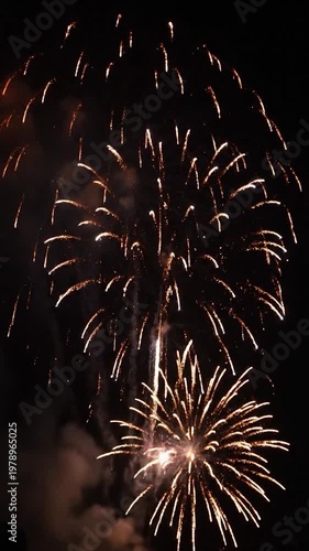 Bright colorful fireworks illuminate the dark night sky during a festive celebration