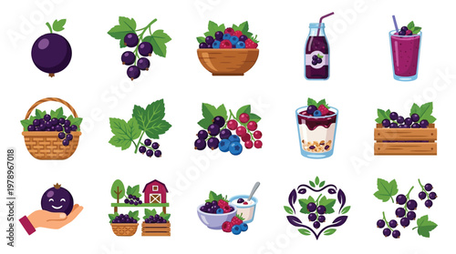 Collection of various blackcurrant and berry illustrations, including whole fruits, bunches, bowls, drinks, and decorative elements.