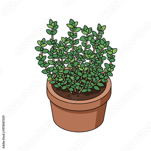 A potted plant with green leaves.