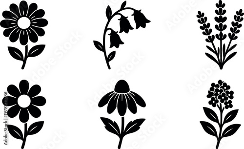 Black and white floral silhouettes of daisy bellflower lavender and coneflower vector art