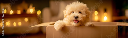 Playful Pup in a Box: A flu...