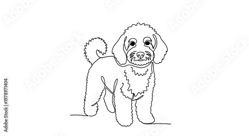 Continuous line drawing of a poodle dog, vector illustration for pet lovers and graphic design projects
