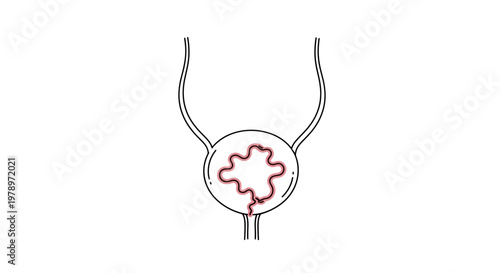 A minimalist line art illustration depicting the human urinary system, focusing on the bladder with a stylized, continuous line representing fluid flow within its walls