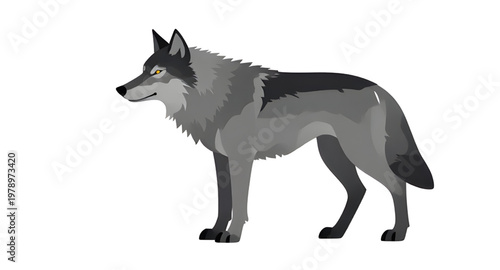 wolf, animal, gray, wildlife, predator, forest, nature, mammal, wild, canine, standing, fur, hunter, pack, outdoor, design, simple