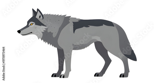 wolf, animal, gray, wildlife, predator, forest, nature, mammal, wild, canine, standing, fur, hunter, pack, outdoor, design, illustration