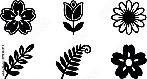 Six different flower and leaf shapes vector illustration