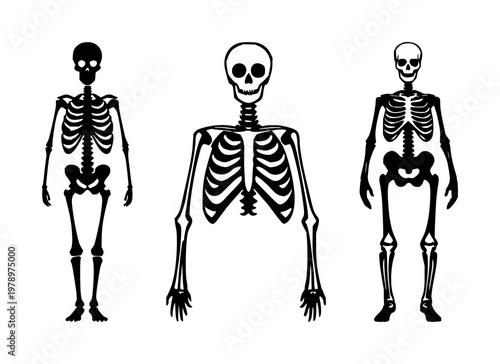 Human bone skeleton icon set with solid black line art design featuring anatomy, skeleton, medical illustration with healthcare and education