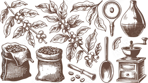 Coffee branch hand drawn sketch set with coffee beans and sack bags.