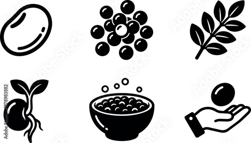 Black and white bean seed growth cycle icons set