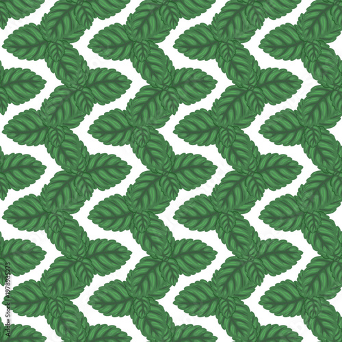 Mint leaf geometric vector seamless pattern. Hand drawn cartoon green peppermint on white background. Organic herbal tea for restaurant menu design. Natural botanical textile for kitchen wallpaper.