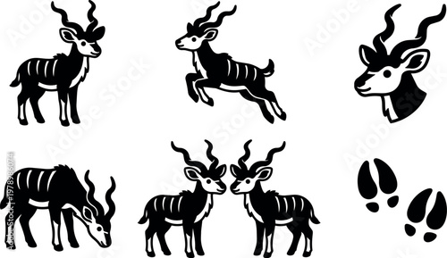 Kudu antelope group with detailed horns and hoof prints