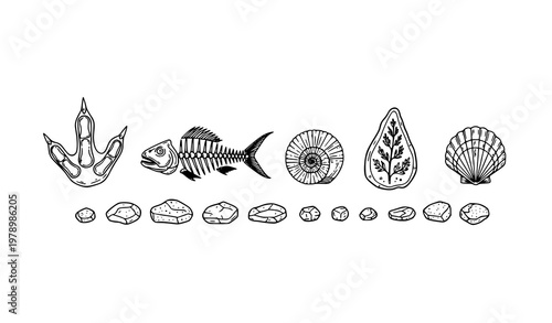 Hand-drawn fossil dig set vector illustration with dinosaur, sea animals, and ancient plants