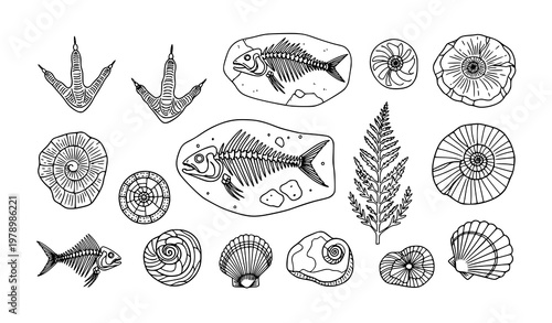 Archeological fossil silhouette vector illustration with dinosaur, sea animals, and ancient plants