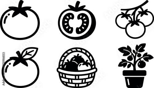 Tomatoes fresh basket and potted plant illustration