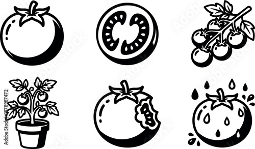 Black and white tomato fruit slices and potted plant illustration set
