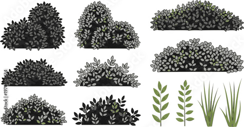 Bush shrub vector illustration. Set of borders bushes with leaves. Green nature stem grass isolated on white background.

