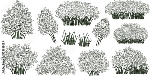 Bush shrub vector illustration. Set of borders bushes with leaves. Green nature stem grass isolated on white background.
