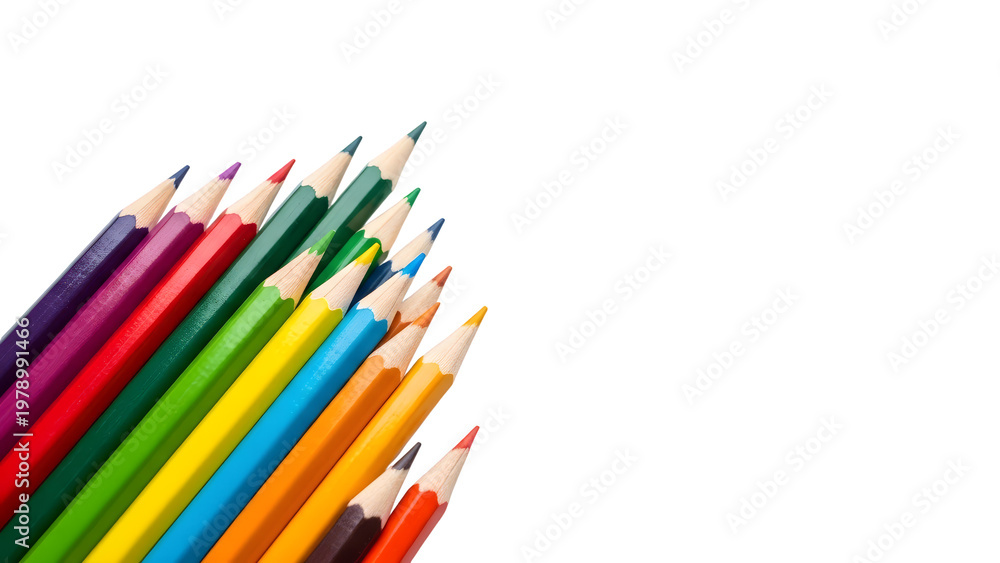 Fototapeta premium Rainbow Of Sharpened Colored Pencils On White Background
