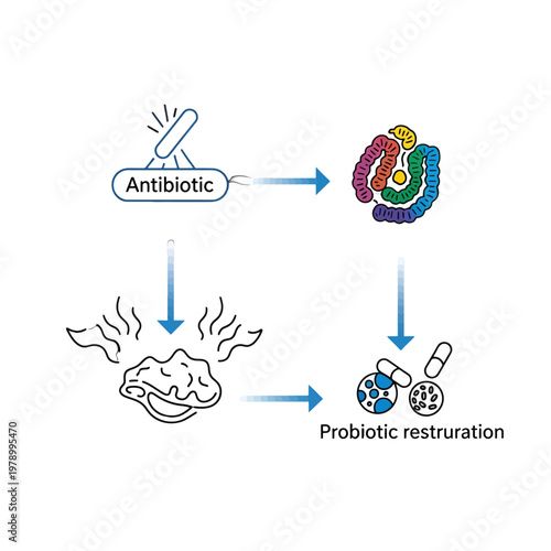 A medical diagram showing the process of gut health restoration and bacterial balance