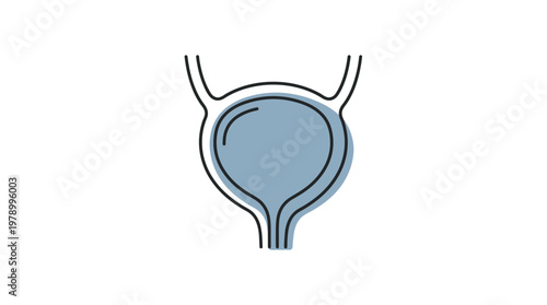 Human Bladder Organ Outline Illustration.