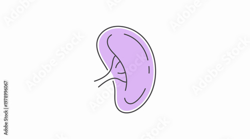 Stylized Human Ear Illustration with Purple Hue and Outline.