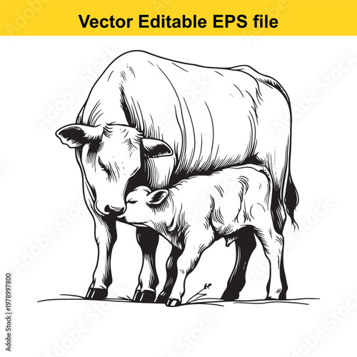 Cow and Calf Illustration - Gentle Livestock Family Portrait