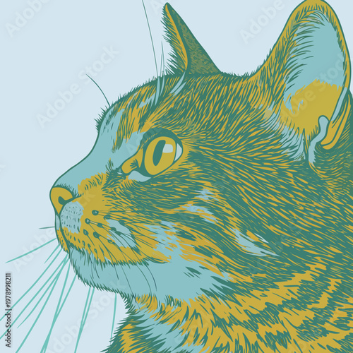 High Quality Cat Profile Portrait Close Up Feline Detail