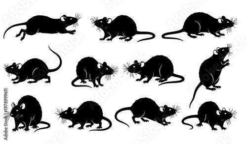 Rat silhouette set black and white vector collection with multiple rodent poses isolated on white