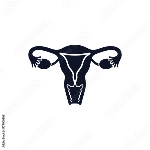 A detailed illustration of the female reproductive system, showcasing the uterus, fallopian tubes, and ovaries in a simple, dark blue silhouette on a white background.