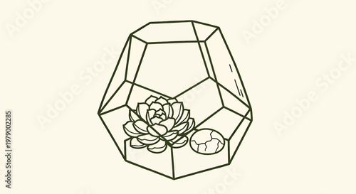 Outline sketch vector illustration of a succulent plant inside a geometric terrarium on a table